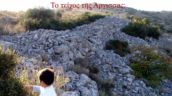 011_99_teixos
